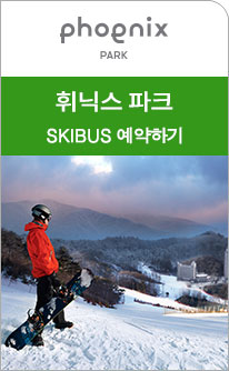 휘닉스파크셔틀