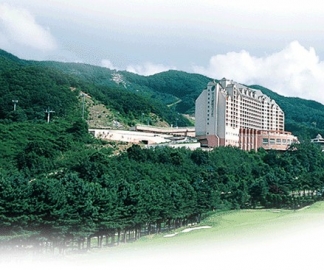 양지파인리조트
